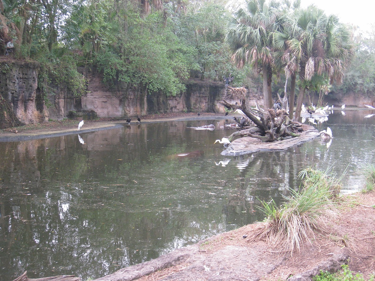 Vacation 2007-12 - Disney Parks  0433.jpg - The 2007-08 vacation to Florida included Disney World. We visited some of the larger theme Resorts along with Animal Kingdom and Disney Hollywood Studios.